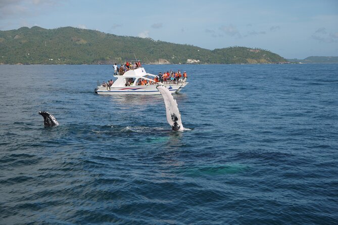 Whale Watching & Limón Waterfall Day Trip - The ride to El Limón passes through working tropical country