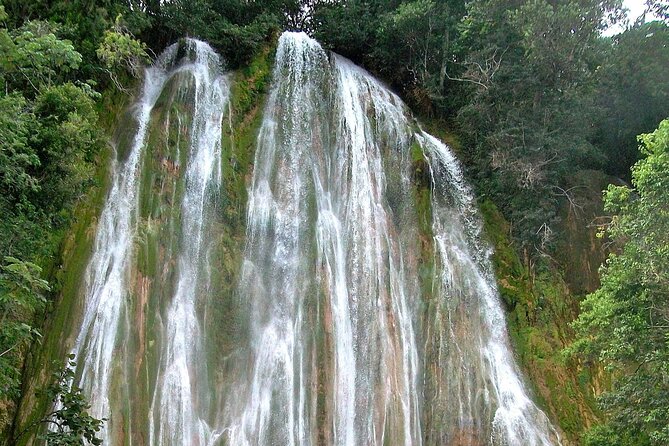 Whale Watching & Limón Waterfall Day Trip - How the two main stops fit together