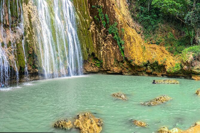 Whale Watching & Limón Waterfall Day Trip - Physical demands and what to bring