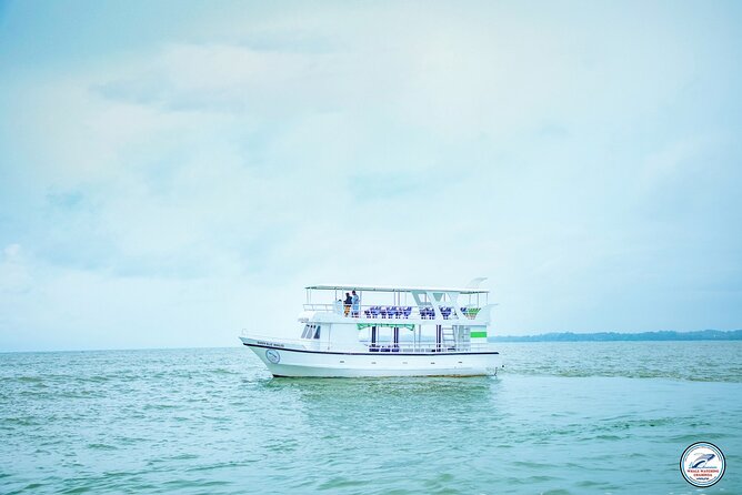 Whale Watching Mirissa Ultimate Tour in Sri Lanka with Breakfast - What breakfast and the onboard facilities mean