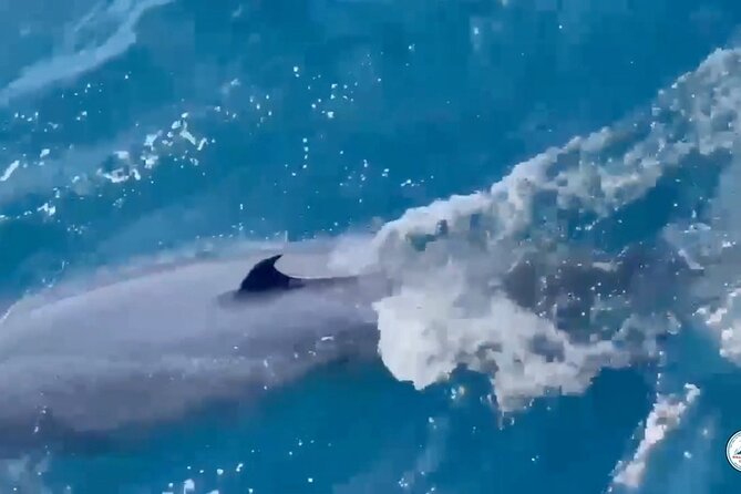 Whale Watching Mirissa Ultimate Tour in Sri Lanka with Breakfast - Service, food, and the human side of the trip