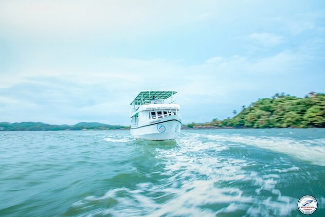 Whale Watching Mirissa Ultimate Tour in Sri Lanka with Breakfast - A wildlife search guided by local sea knowledge