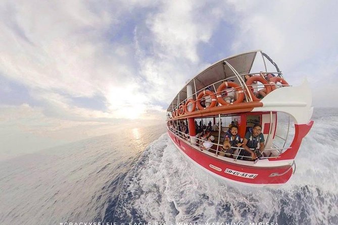 Whale Watching Mirissa with Eagle Eye - Is $70 good value?