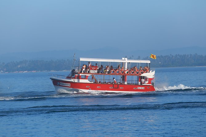 Whale Watching Mirissa with Eagle Eye - Booking and cancellation details