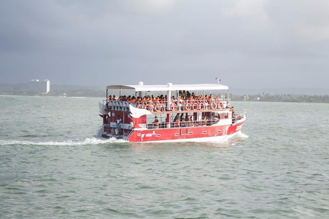 Whale Watching Mirissa with Eagle Eye - Searching for whales in open water