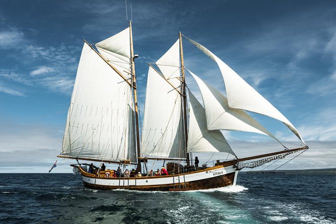 Whale Watching on a Traditional Oak Sailing Ship from Husavik - The return to Húsavík and the warm finish