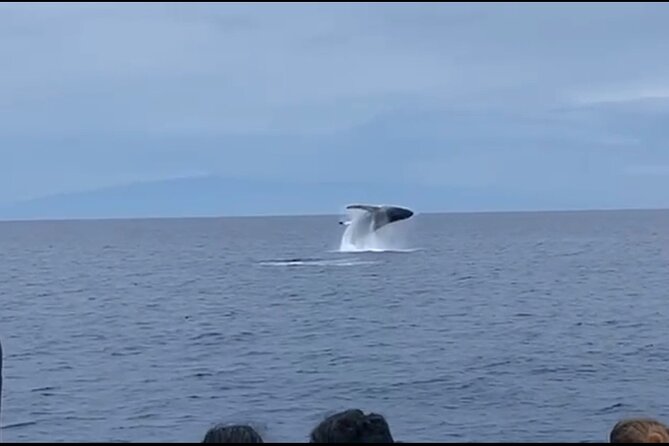 Whale Watching on Big island - Leaving Honokohau Harbor for the open ocean