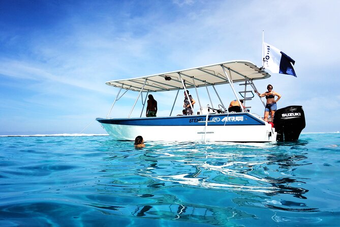 Whale watching on the preserved and quiet coast of Paea (Pk26) - Swimming with whales requires more than enthusiasm