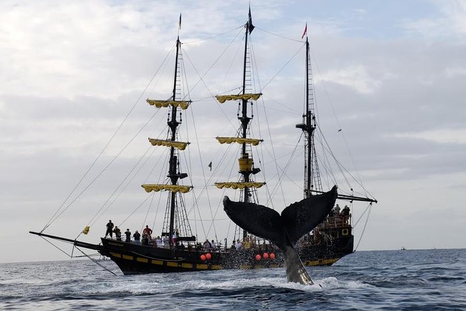 Whale-Watching Pirate Ship Cruise in Los Cabos - Cabo’s Arch comes before the whales