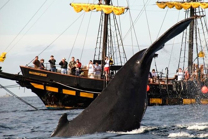 Whale-Watching Pirate Ship Cruise in Los Cabos - Breakfast, drinks, and pirate entertainment