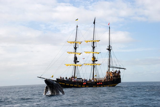 Whale-Watching Pirate Ship Cruise in Los Cabos - What the two hours feel like
