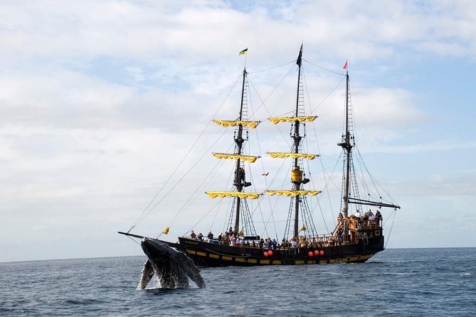 Whale-Watching Pirate Ship Cruise in Los Cabos - Searching the Pacific and Sea of Cortez