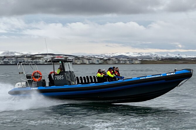 Whale Watching - RIB Boat Adventure in Kopavogur, Iceland - Watching humpbacks, dolphins, and puffins