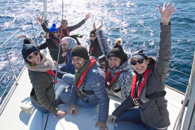 Whale Watching Sailing Experience in Sydney - What three hours feels like on the water