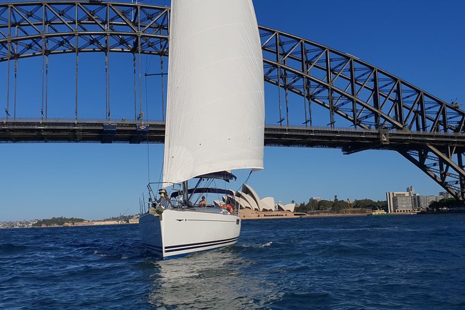 Whale Watching Sailing Experience in Sydney - Whale watching from May through November