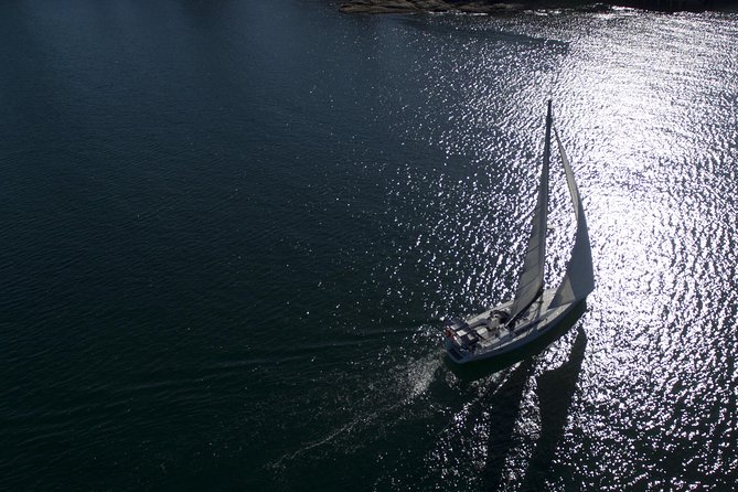 Whale Watching Sailing Experience in Sydney - The honest issue: motion and seasickness