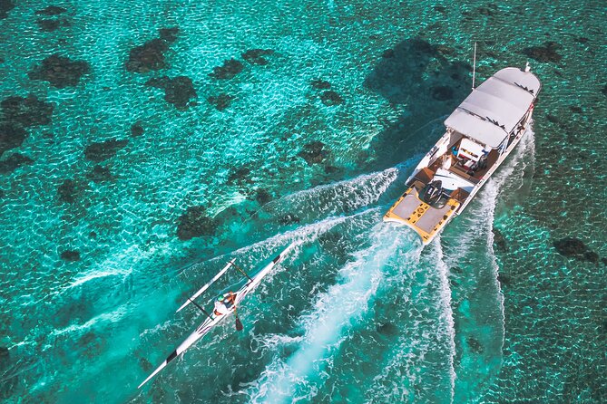 Whale Watching Shared Half Day - Why the small group changes the experience