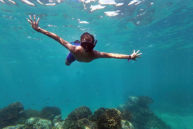 Whale Watching & Snorkeling Combo in Los Cabos with Photos Included - Key points to know before booking