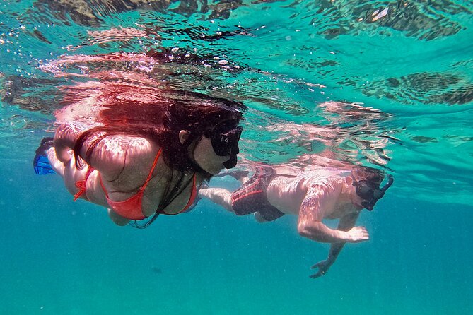 Whale Watching & Snorkeling Combo in Los Cabos with Photos Included - Whale watching around Land’s End