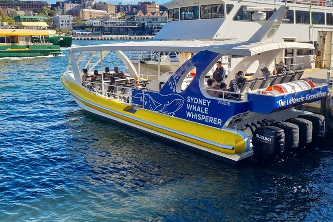 Whale Watching Sydney - Adventure gets you out of Sydney Harbour quickly