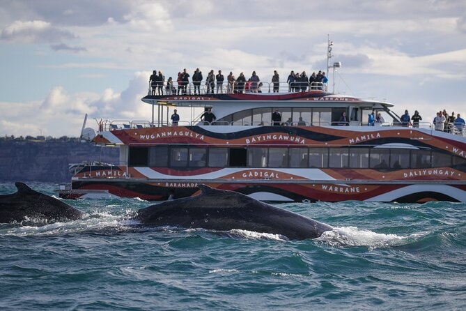 Whale Watching Sydney 2-Hour Express Cruise - Is $57.72 Good Value?