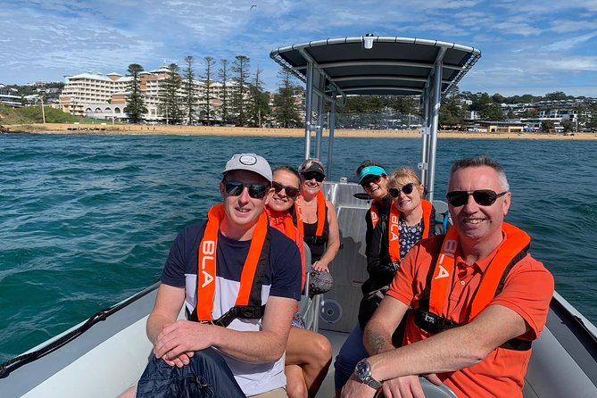 Whale Watching Terrigal - Timing, weather, and what to wear