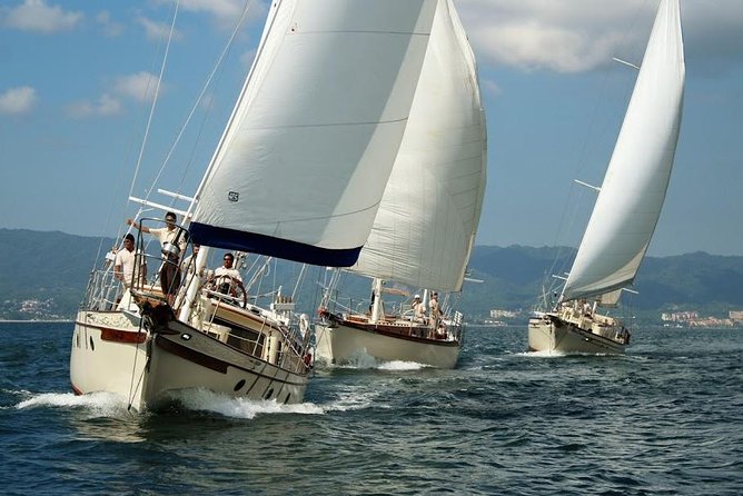 Whale Watching The Best Of Puerto Vallarta - Who will enjoy this Puerto Vallarta boat trip