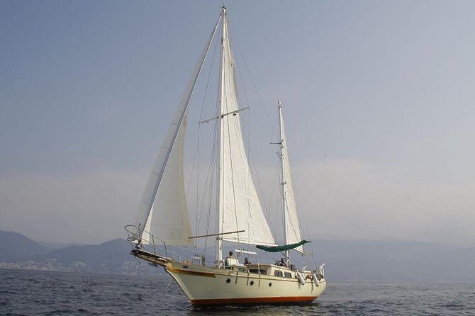 Whale Watching The Best Of Puerto Vallarta - Practical planning for your day