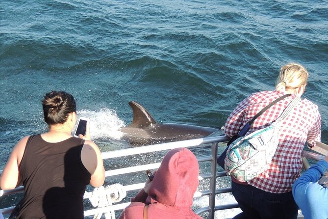 Whale Watching Tour from Anacortes - Who will enjoy this cruise most