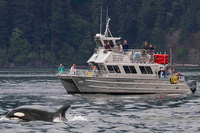 Whale Watching Tour from Anacortes - What happens after you leave the dock