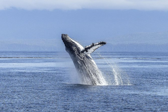 Whale Watching Tour from Cape Town - Harold Porter Botanical Garden adds a quieter pause