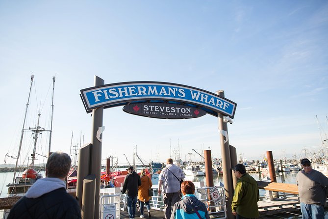 Whale-Watching Tour from Vancouver - Why this is one of Vancouver’s best wildlife outings