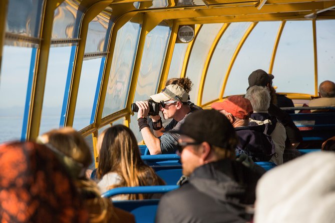 Whale-Watching Tour from Vancouver - The guides add meaning to the sightings