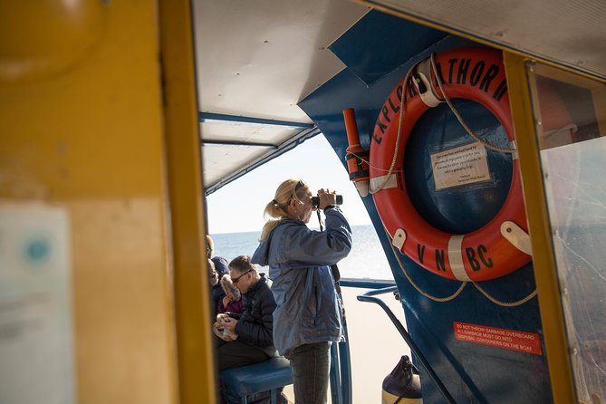 Whale-Watching Tour from Vancouver - Gulf Islands scenery and the rest of the wildlife