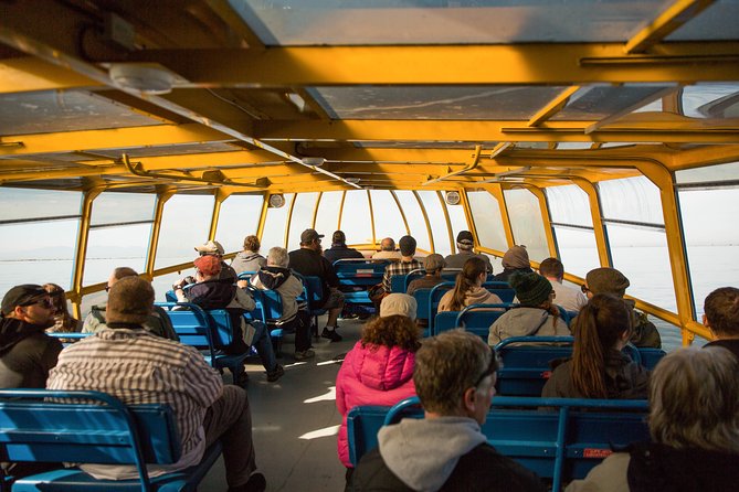 Whale-Watching Tour from Vancouver - Price, duration, and overall value