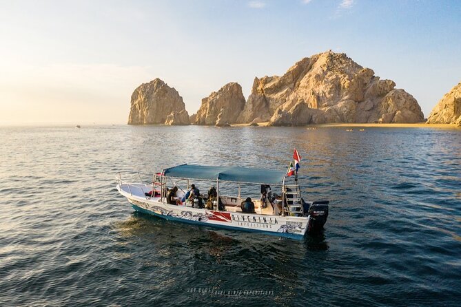 Whale Watching Tour in Cabo San Lucas - Leaving downtown Cabo for open water