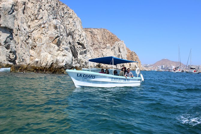 Whale Watching Tour in Glass Bottom Boat (VisitA Cabo) - Four departure times and a roughly two-hour plan