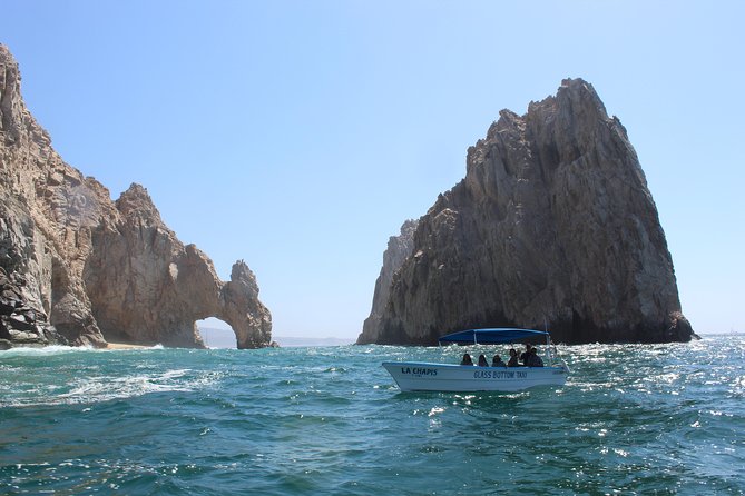 Whale Watching Tour in Glass Bottom Boat (VisitA Cabo) - Who will enjoy this boat trip most