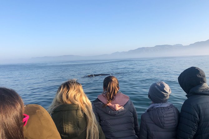 Whale Watching Tour in Hermanus with Hotel Pickup - Key points to know before booking