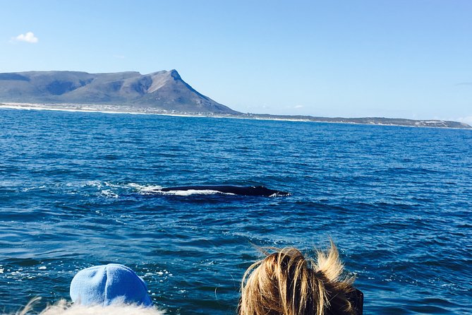 Whale Watching Tour in Hermanus with Hotel Pickup - The real highlight is whale watching from the boat