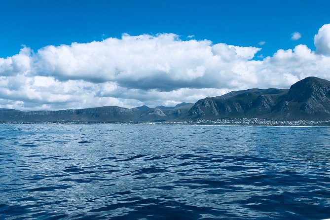 Whale Watching Tour in Hermanus with Hotel Pickup - Betty’s Bay adds penguins to the wildlife list