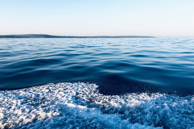 Whale Watching Tour in Hermanus with Hotel Pickup - What the private format changes