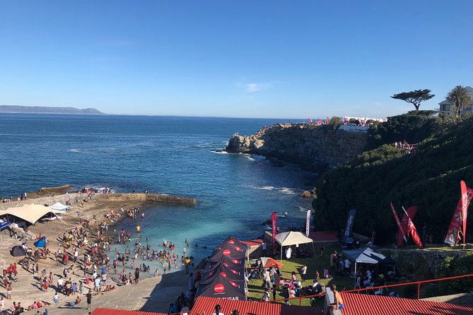 Whale Watching Tour in Hermanus with Hotel Pickup - Hermanus gives you more than a harbor departure