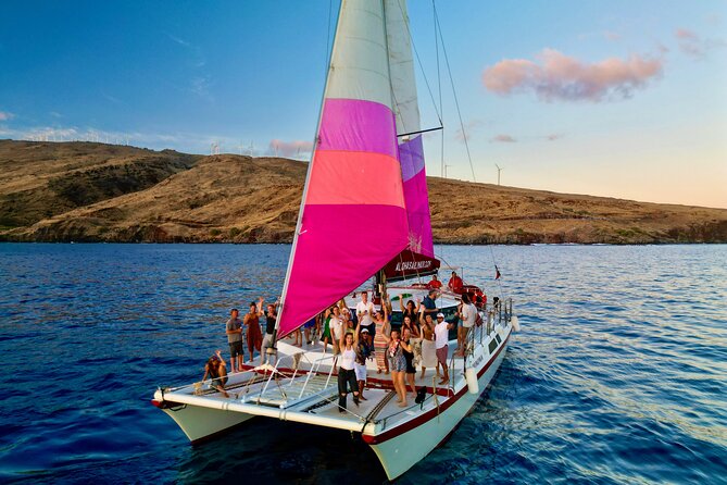 Whale Watching Tour on a Charming Hawaiian Catamaran From Maalaea - What the 2.5-hour route feels like