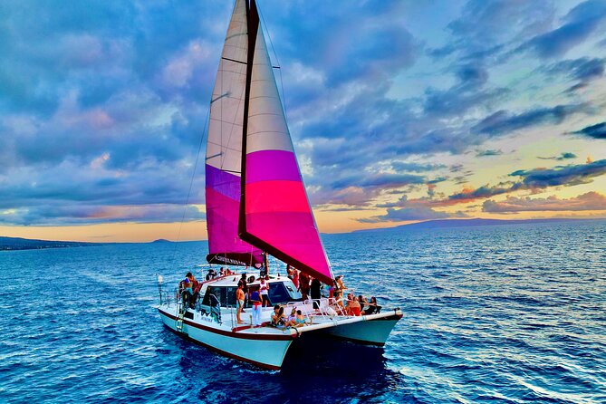 Whale Watching Tour on a Charming Hawaiian Catamaran From Maalaea - The views beyond the whales