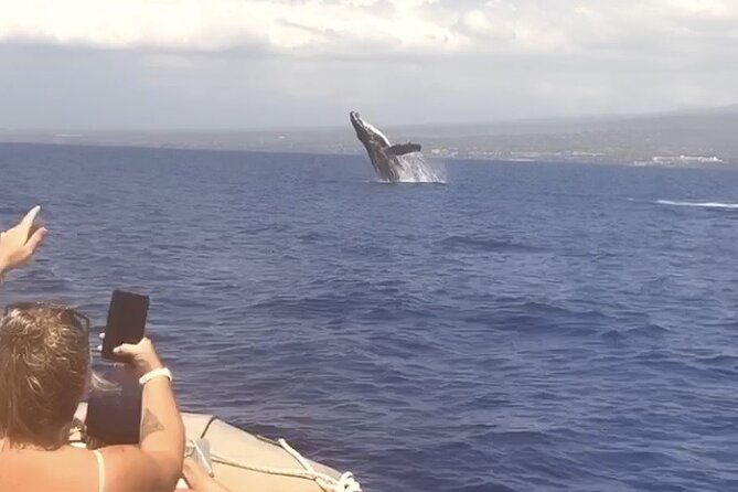 Whale Watching Tour on a Charming Hawaiian Catamaran From Maalaea - Listening to humpbacks through the hydrophone