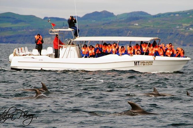 Whale Watching Tour + Vila Franca Islet: Full-day with lunch - Where the organization can lose time