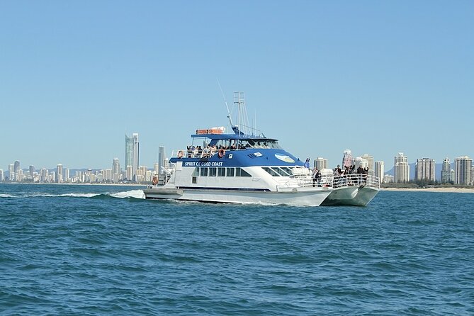 Whale Watching Tour with Spirit of Gold Coast - Comfort on a boat that can get rough