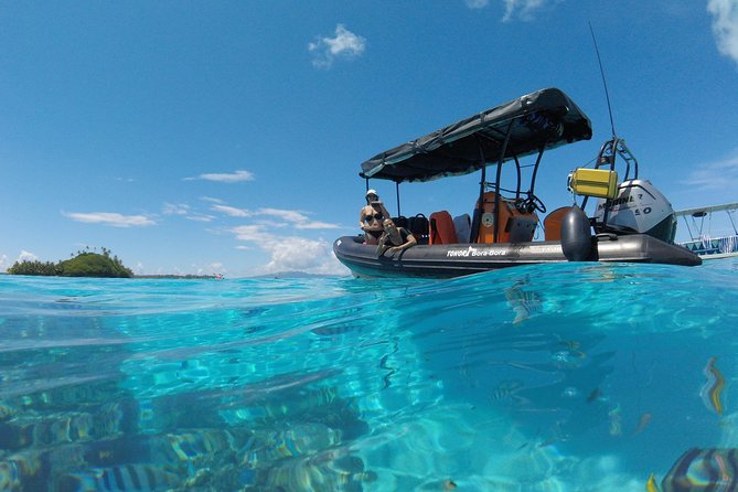 Whale Watching Tours in Bora Bora - Is $305.30 a fair price?