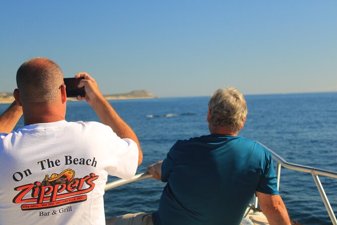 Whale Watching Warranty in San José del Cabo Snacks and drinks - Dolphins, sea lions, and the extra surprises